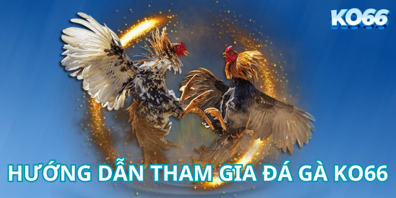 Hướng Dẫn Tham Gia Đá Gà Ko66